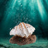 Aquarium Decoration, Fish Tank Simulation Resin Shell Pearl Bubbler Decor, Coral Reefs Aerating Action Ornament