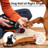 Tife Grinder,2 Trimmer,Quiet Dog Nail Speed Electric Rechargeable Dog Nail and Low-Vibration Pet Nail Grinder,Painless