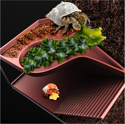 UNISOLODECHO Hermit Crab Hideout with Climbing Tunnel | Hermit Crab Climbing Toys| Hermit