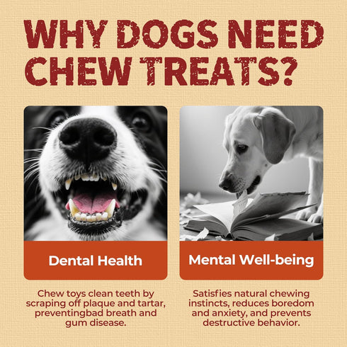 2 Packs 13" Just Try Large Size Chicken Wrapped Rawhide Dog Chew Sticks - Long Lasting Dog Chews, Dog Treats for Large