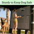 Canine Hitch Secure Dog Leash Wall Hook with Stainless Steel & ABS Mounting Plate - Large with Clip