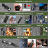 Kleclcw 150 Gifts for Men Christmas Dad, Survival Kit, PCS Survival Gear and Supplies Equipment with Trauma Bag, Molle
