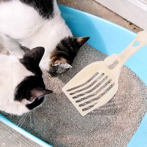 Depets Cat Litter Scoop, Durable Plastic Litter Sifter Scoop with Wide Slats for Easy Sifting - Milky White