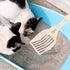 Depets Cat Litter Scoop, Durable Plastic Litter Sifter Scoop with Wide Slats for Easy Sifting - Milky White