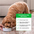 Open Farm Freeze Dried Raw Patties for Dogs, Humanely Raised Meat Recipe, Grass Fed Beef Recipe, 17.5oz