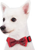 Blueberry Pet Gift Box with 2 Handmade Dog Cat Bow Ties, Scottish Plaid Tartan Style in Scarlet Red & Emerald Green, 4"