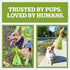 900-Count Pogis Dog Poop Bags with Handles Extra-Thick, Leak-Proof, Large, Unscented