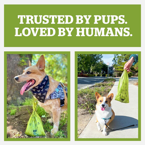 60 900-Count) Pogis Dog Poop Bags Leak-Proof & Extra Thick Pet Waste Bags (Fresh Scent, Rolls