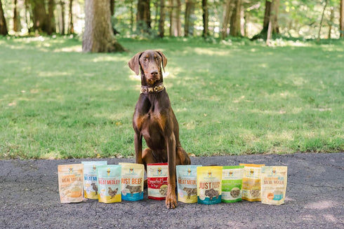 9 oz (3-Pack) Freeze Dried Dog Treats Turkey, Bison & Beef, Single Ingredient, All-Natural, USA Sourced, Human-Grade