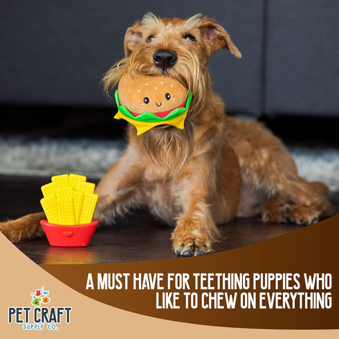 Pet Craft Supply 2 Pack Puppy Teething Dental Chew Toys, Tough Nylon Bone with Squeaky Plush Ball for Small Medium Dogs
