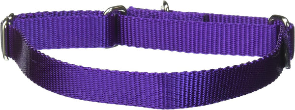 PetSafe Martingale Collar, Medium 3/4" Deep Purple
