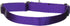 PetSafe Martingale Collar, Medium 3/4" Deep Purple