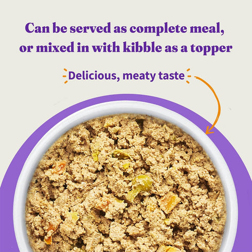 13.2 Oz (Pack 6) Halo Wet Dog Food Whole Beef Stew Recipe, Healthy Grains Real Meat Canned Dog Food, Meal or Topper