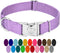 Country Brook Petz Premium Nylon Dog Collar with Metal Buckle for Small Medium Large Breeds (Large, 1 Inch, Lavender)