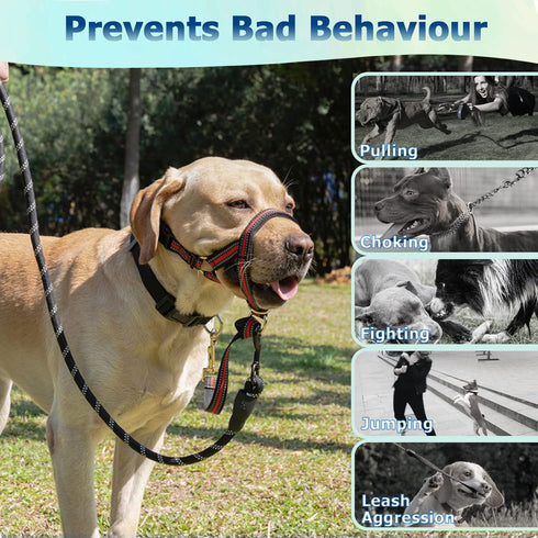 BARKLESS Muzzle Leash for Heavy Pullers, Adjustable No Pull Stylish Head Halter for Medium Large Aggressive Dogs (L,