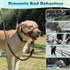 BARKLESS Muzzle Leash for Heavy Pullers, Adjustable No Pull Stylish Head Halter for Medium Large Aggressive Dogs (L,