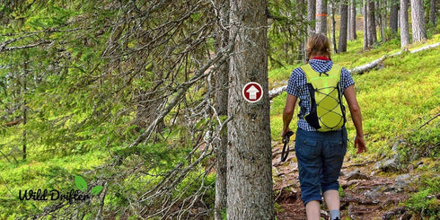 Trail Markers, Bright Reflective Trail Marker Pack of 24, Easy to Mount for Hunting, Hiking, Camping, and More