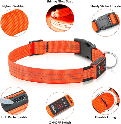 Illumifun LED Dog Collar - USB Rechargeable Light Up Reflective Pet Safety Collar (Orange?, Medium)