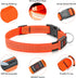 Illumifun LED Dog Collar - USB Rechargeable Light Up Reflective Pet Safety Collar (Orange?, Medium)