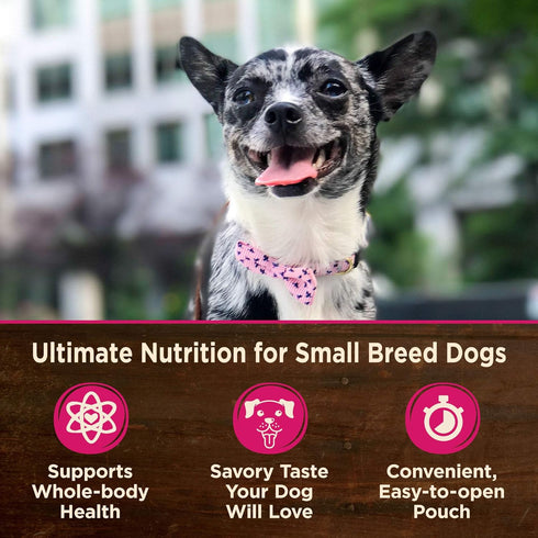 Wellness CORE Natural Grain Free Mini Meals Wet Dog Food, Chunky Chicken & Chicken Liver Entrée in Gravy, 3-Ounce Pouch