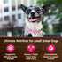 Wellness CORE Natural Grain Free Mini Meals Wet Dog Food, Chunky Chicken & Chicken Liver Entrée in Gravy, 3-Ounce Pouch