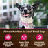 Wellness CORE Natural Grain Free Mini Meals Wet Dog Food, Shredded Chicken & Turkey Dinner in Gravy, 3-Ounce Pouch