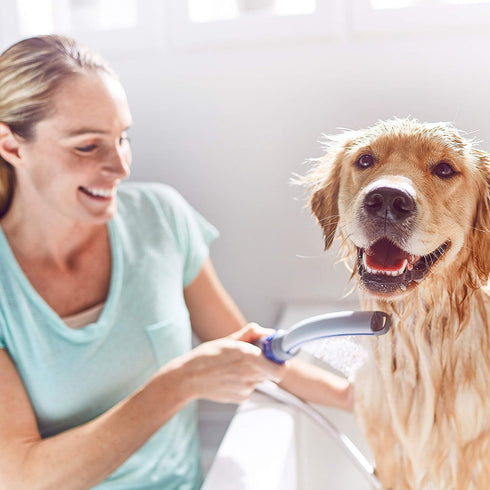 Waterpik Pet Wand Pro Dog Shower Attachment for Fast and Easy Dog Bathing, Indoor and Outdoor Sprayer, Includes 8-Foot