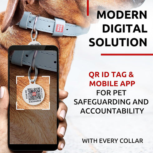 WAUDOG Long Lasting Leather Dog Collar for Large, Medium & Small Dogs - Adjustable Classic Puppy Collars