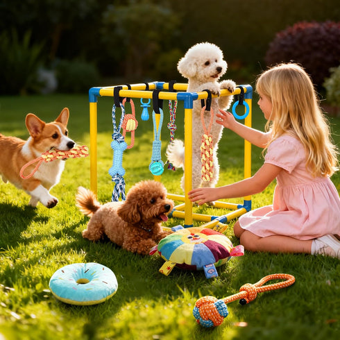 10 WLLEYAY Puppy Play Gym for Small Dogs with Hanging Toys, Removable Indoor Jungle Gym, PVC Frame with Adjustable