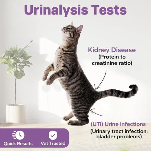 5 10 One Step Pet Urine Testing Strips, x Parameter Urinalysis Test Strips, Urine pH Test Strips for Dogs, Cats