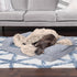 Furhaven Waterproof Throw Blanket for Dogs & Indoor Cats, Washable Shaggy Plush Calming Long Faux Fur & Velvet Dog