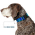 Buckle-Down Plastic Clip Collar - Medium Tie Dye Green/Blue/Purple - 1" Wide - Fits 11-17" Neck