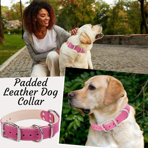 ADITYNA Heavy-Duty Pink Leather Dog Collar for Medium Dogs, Soft Lined Girl Collar for Walking, Training, Hiking