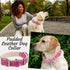 ADITYNA Heavy-Duty Pink Leather Dog Collar for Medium Dogs, Soft Lined Girl Collar for Walking, Training, Hiking