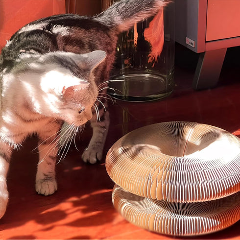 Magic Organ Cat Toy - 1PC Scratching Board with Bell, Foldable Magnetic Corrugated Paper Cat Accordion Toy for Cat