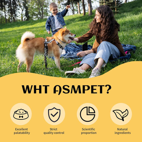 ASMPET Chicken Jerky Dog Treats: All Natural, Grain-Free, Chewy Treats for Large Medium Dogs