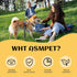 ASMPET Chicken Jerky Dog Treats: All Natural, Grain-Free, Chewy Treats for Large Medium Dogs