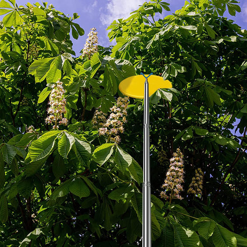 Telescopic Disc Golf Retriever Pole with 3 Hooks, 16FT Golf Discs Retriever for Outdoor Disc Sports