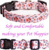 Dog Collar for Small Medium & Large Dogs - Designer Patterns on Adjustable, Strong and Durable Floral Collar
