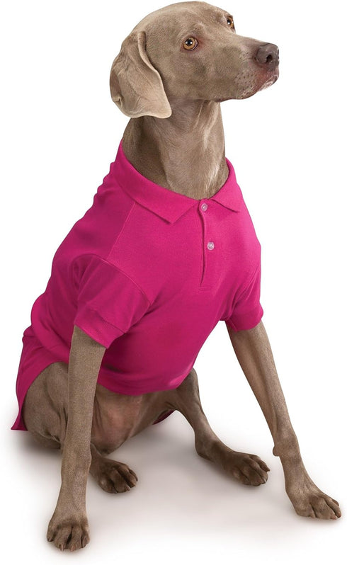 Zack & Zoey Cotton Polo Shirt for Dogs, Raspberry Sorbet, 8" X-Small