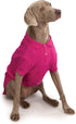 Zack & Zoey Cotton Polo Shirt for Dogs, Raspberry Sorbet, 8" X-Small