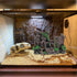 PINVNBY Resin Castle Reptile Habitat Decorations, Realistic Lizard Hideouts Cave Ornament for Chameleon, Snake, Gecko,