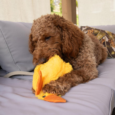 Recommended 21 INCH FGA MARKETPLACE Duck Flat NO Stuffing NO Squeak Plush Dog Toy, Funny Style Will Entertain Your Pet