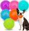 2.5" Squeaky Dog Balls for Small Medium Dogs, 6 Pack Chew Toys with Spike for Teeth Cleaning (green)