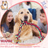 Dog Rope Toys for Extra Large Dogs, 2 Pack 6 Feet Tug of War Toy for Large Aggressive Chewers