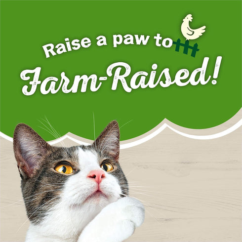 12 Count, 5.5 Friskies Farm Favorites Wet Cat Food, Meaty Bits Chicken & Whitefish Spinach in Gravy, Ounce Cans