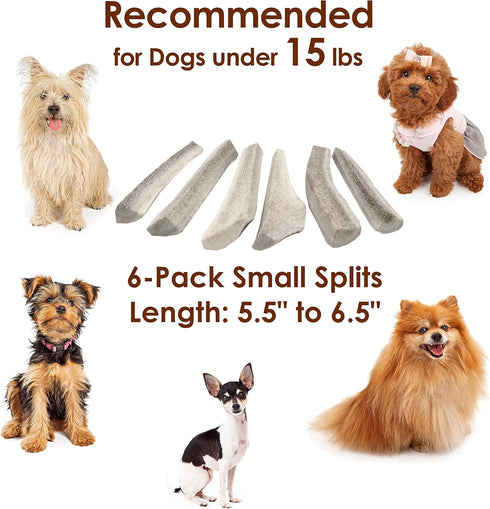 Elk Antler Chews for Dogs | Naturally Shed USA Collected Elk Antlers | All Natural A-Grade Premium Elk Antler Dog Chews