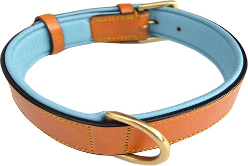 Padded Leather Dog Collar, Tan and Teal, Medium Size, 20" Long x 1" Wide, Neck Size 14.5" to 17.5"