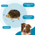 9" 5" 6.5" Outward Hound Hedgehogz Stuffed Dog Toy Soft Plush Hedgehog, Grunts & Squeaks, Medium, x x