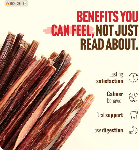 (6 Inch, 50 Pack), Natural Farm Bully Sticks Thin Pixie Pizzle Beef Treats, Grain-Free, High Protein, Best Rawhide
